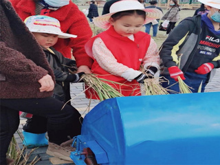 中二班李叶阳家庭：农场活动体验之割水稻