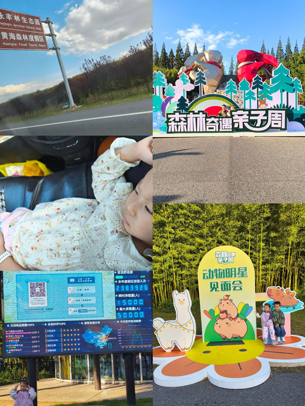 4bf0a6471cf34248ba47c463530a7c69.jpg