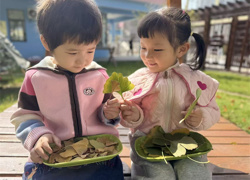 萌娃解锁秋日多元玩法